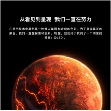 創(chuàng)維（SKYWORTH）65G51 65英寸4K高清HDR 2+32G全面屏超薄智慧屏液晶網(wǎng)絡(luò)電視 黑色