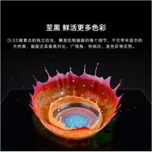 創(chuàng)維（SKYWORTH）65G51 65英寸4K高清HDR 2+32G全面屏超薄智慧屏液晶網(wǎng)絡(luò)電視 黑色