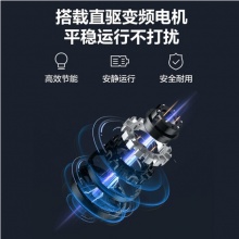 小天鵝（LittleSwan）洗衣機波輪全自動一級直驅變頻靜音節(jié)能10公斤