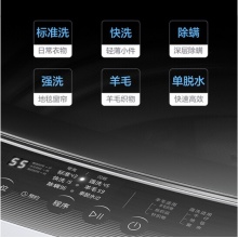 小天鵝（LittleSwan）洗衣機波輪全自動一級直驅變頻靜音節(jié)能10公斤