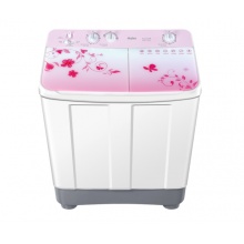 海爾（Haier） 洗衣機(jī)9公斤大容量家用半自動(dòng)洗衣機(jī)雙缸雙桶 強(qiáng)勁動(dòng)力老式 精美上蓋 超長(zhǎng)預(yù)約 9公斤 精美上蓋XPB90-1169JS